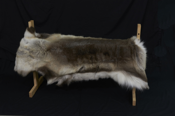 Whole Reindeer Hide | Benches, Covers, and Baskets